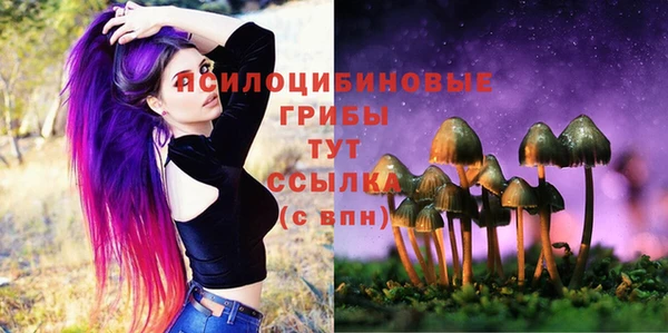 прущие крисы Армянск