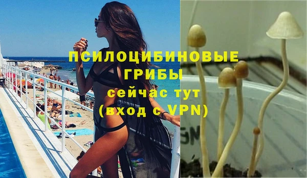 Альфа ПВП Арсеньев