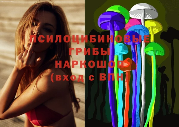 Альфа ПВП Арсеньев
