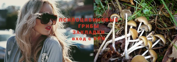 Альфа ПВП Арсеньев