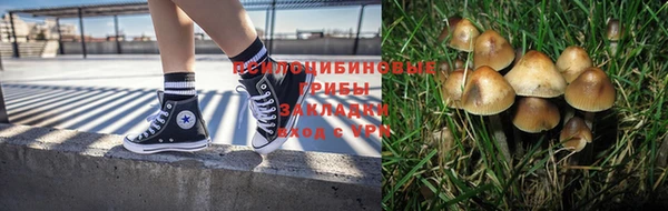 Альфа ПВП Арсеньев