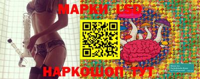 тгк Дубна