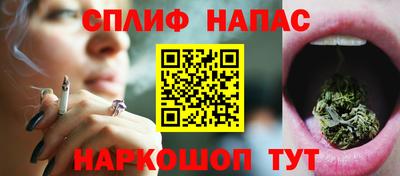тгк Дубна