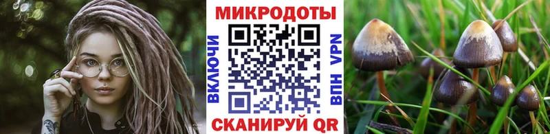 Псилоцибиновые грибы GOLDEN TEACHER  Электрогорск 