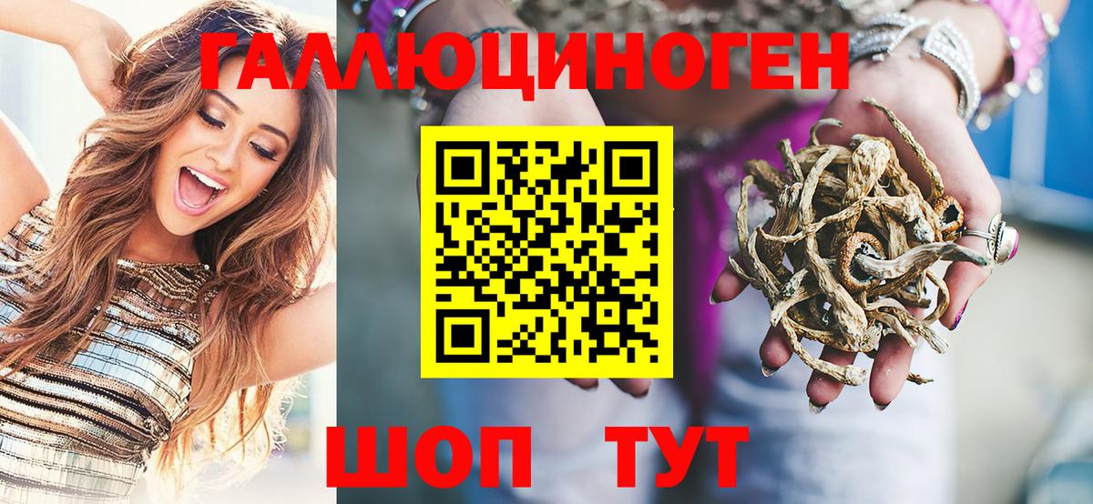 закладки  Псилоцибиновые грибы мухоморы  Псилоцибиновые грибы GOLDEN TEACHER  Вход с VPN  Электрогорск 